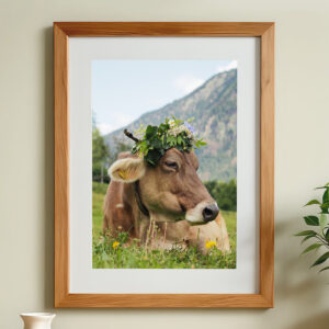 Kuh mit Blumenkranz in einer Wiese, dargestellt auf einem Poster welches an einer Wand hängt.
