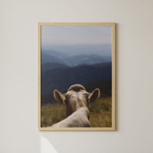 Tierposter Kuh „Birke auf der Alm”