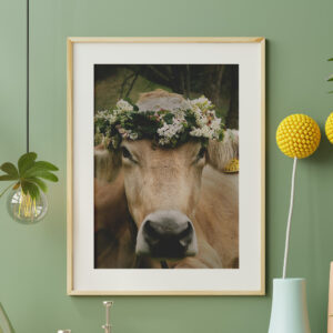 Tierposter Kuh „Blumenbirke”