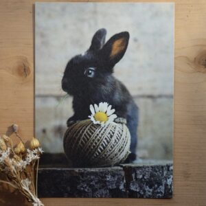 Postkarte Kaninchen “Cookie & Kamille”