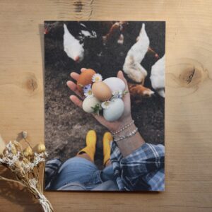 Postkarte Huhn “Eggs With A View”