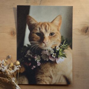 Postkarte Katze “I Can Buy Myself Flowers - Theo”
