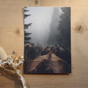 Postkarte Kuh “Kühe im Nebel”