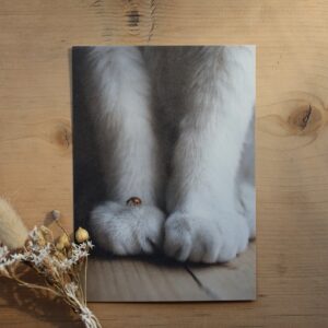 Postkarte Katze “Marienkäferglück”