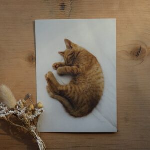 Postkarte Katze “Theo-Evolution Vol. I”