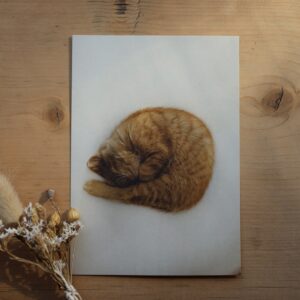 Postkarte Katze “Theo-Evolution Vol. II”
