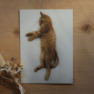 Postkarte Katze “Theo-Evolution Vol. III”