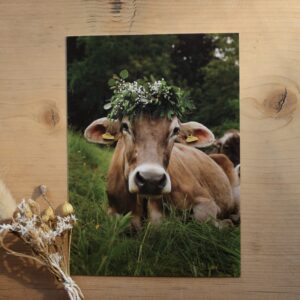 Postkarte Kuh “Prinzessin Pflaume I”