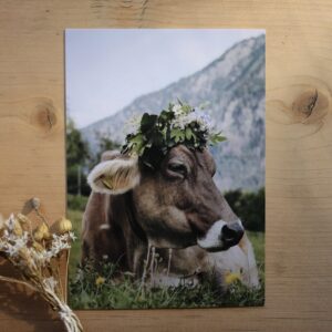 Postkarte Kuh “Queen P”